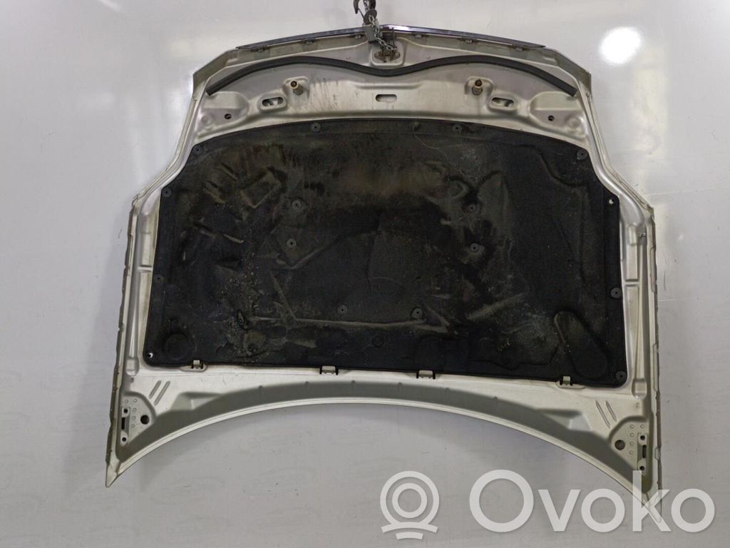 Motorhaube   CADBLSCAP
