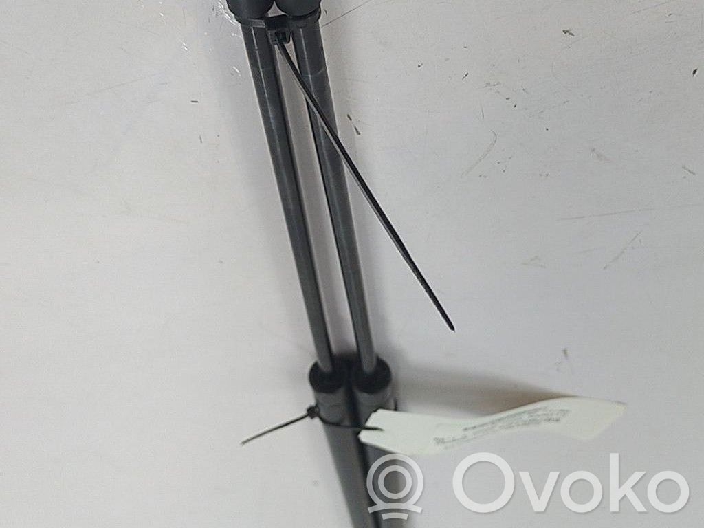 Citroen Saxo Ammortizzatore portellone posteriore/bagagliaio