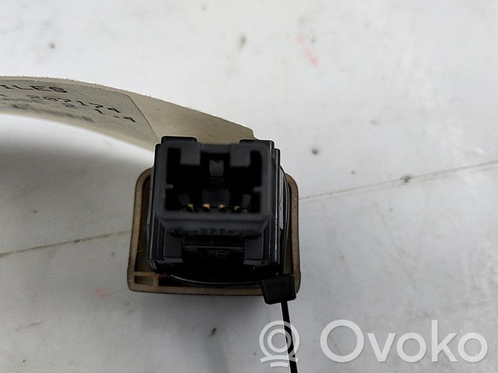 Botón interruptor de luz de peligro   252901U600