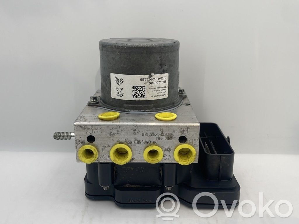 ABS Pump   1669575180