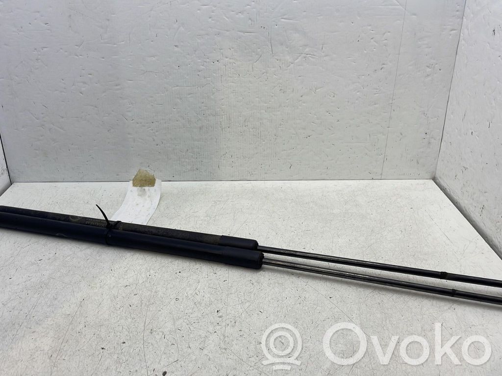 Ford C-MAX II Tailgate/trunk strut/damper 