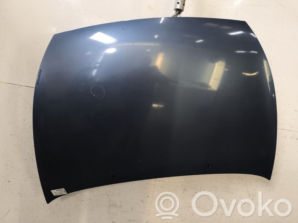 Engine bonnet/hood   1087913