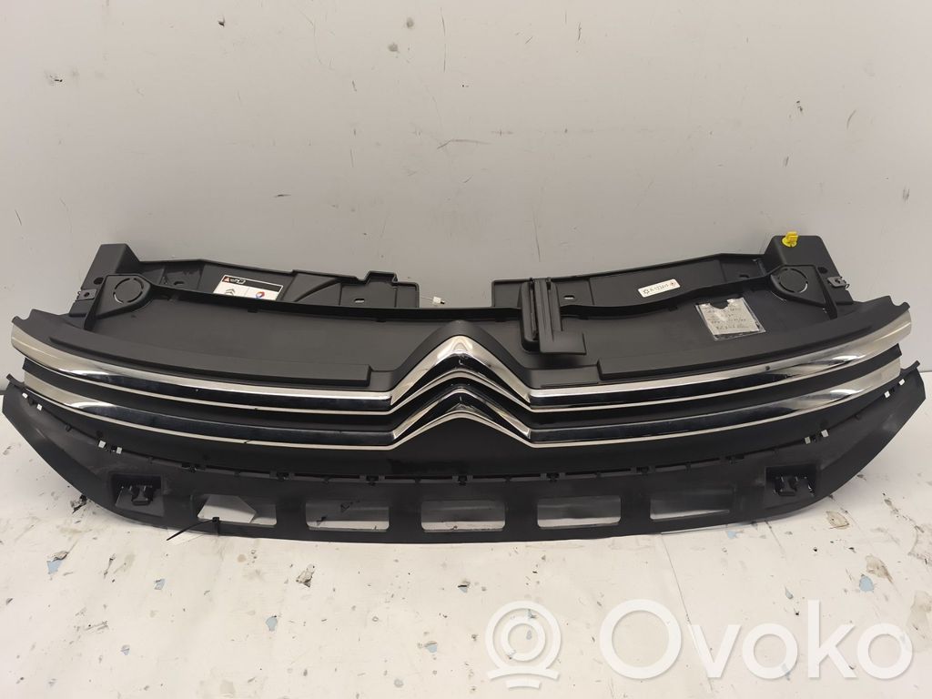 Front grill   98120634XT