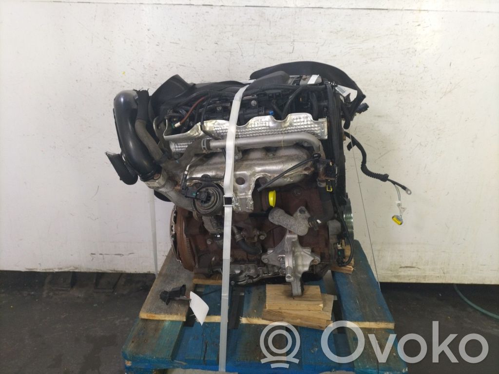 Variklis   00000135QP