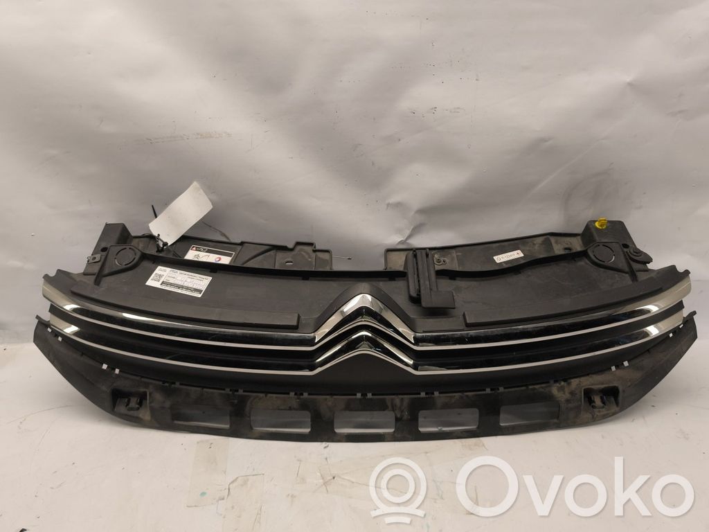 Front grill   98120634XT