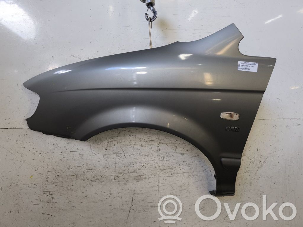 Hyundai Trajet Guardabarro 