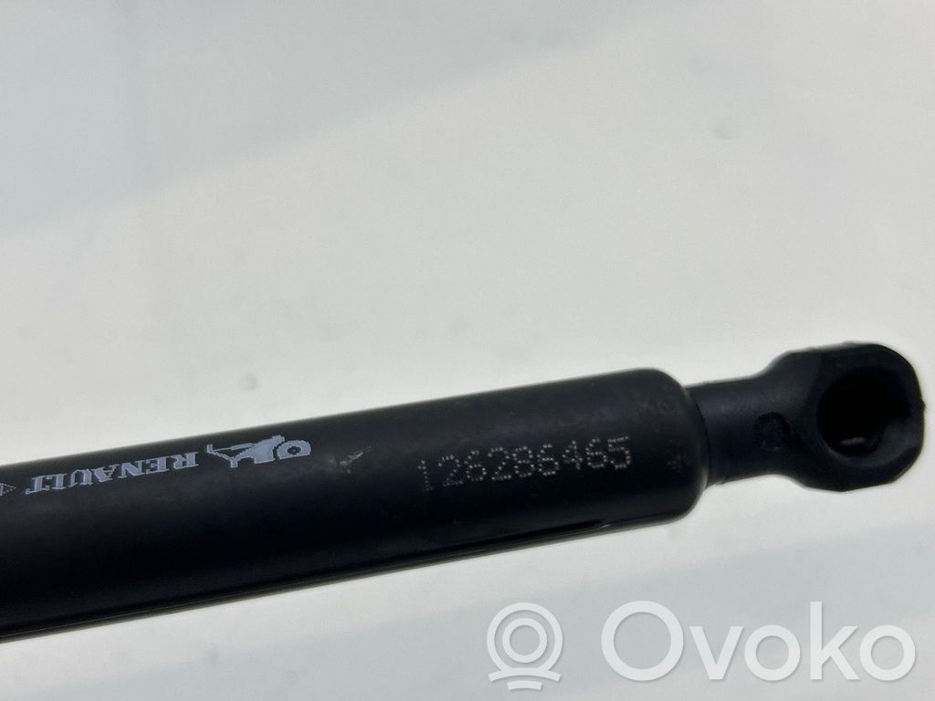 Dacia Logan II Amortizor hayon 