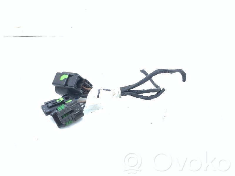 Other wiring loom