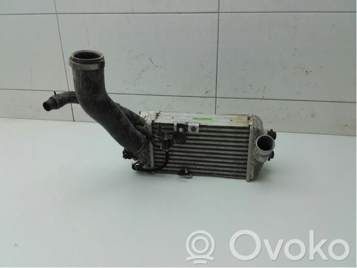 Intercooler radiator   2827004610