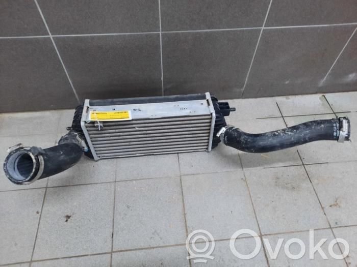 Interkūlerio radiatorius   282712A480