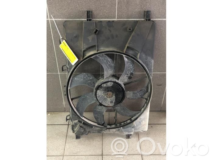 Engine control unit/module fan   13250340