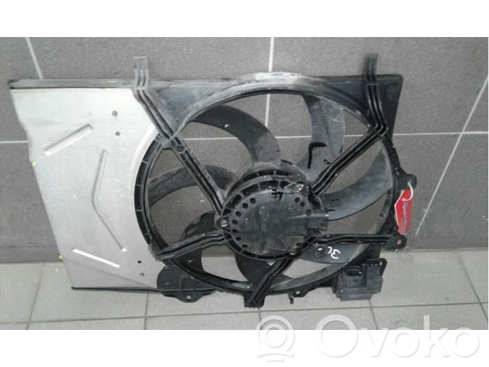 Engine control unit/module fan   3641929
