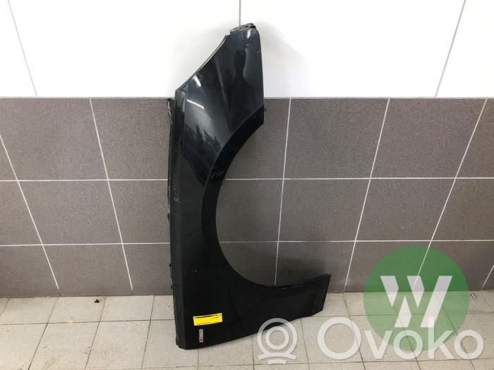 Guardabarro   8W0821106D