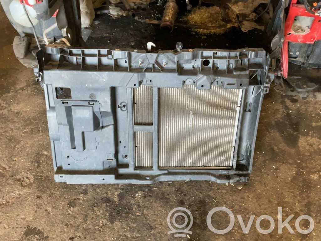 Radiatorių panelė   9677952180
