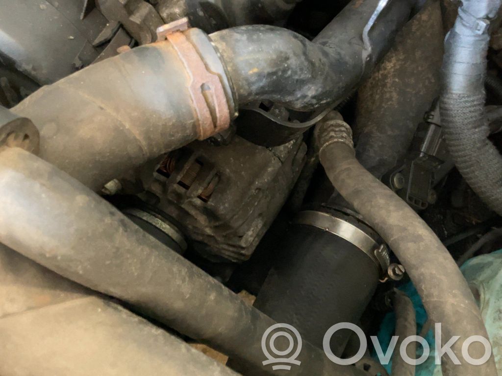 Volkswagen Crafter Alternator 