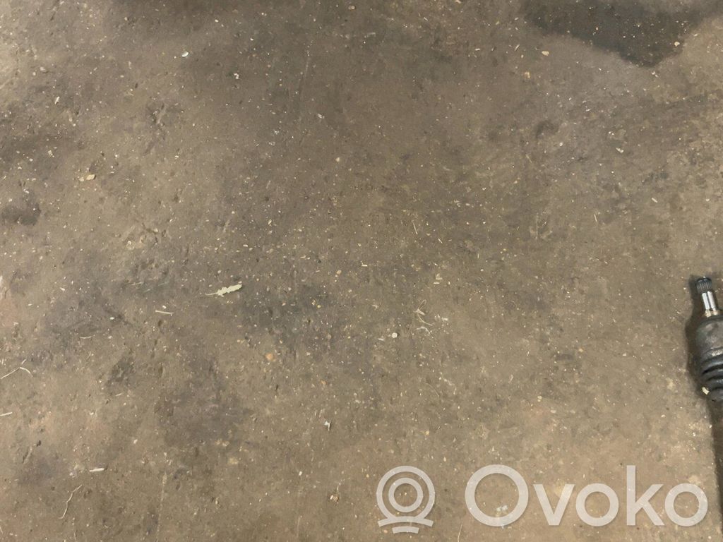 Ford Ka Galinis dangtis (bagažinės) 