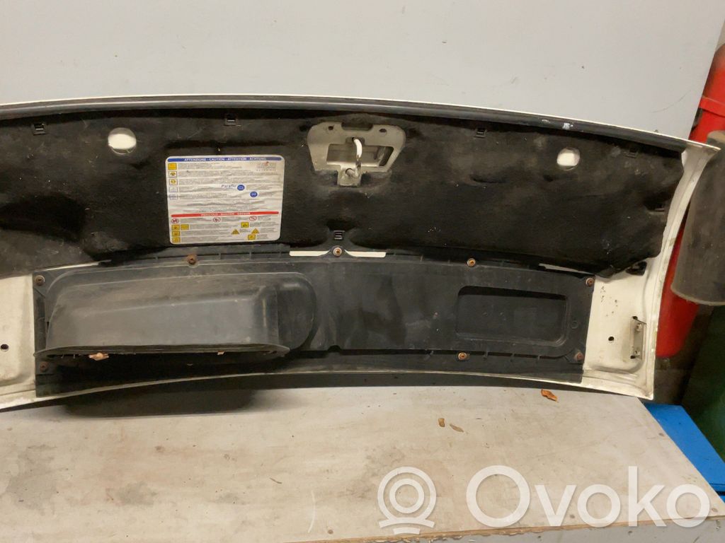 Fiat Ducato Pokrywa przednia / Maska silnika 