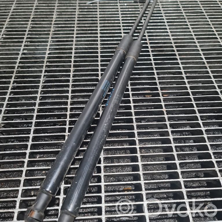Citroen C4 Cactus Tailgate/trunk strut/damper 