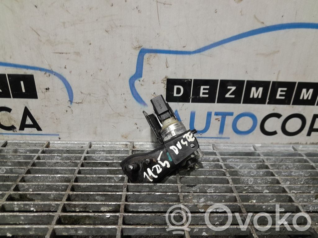 Kitas daviklis   223675771R