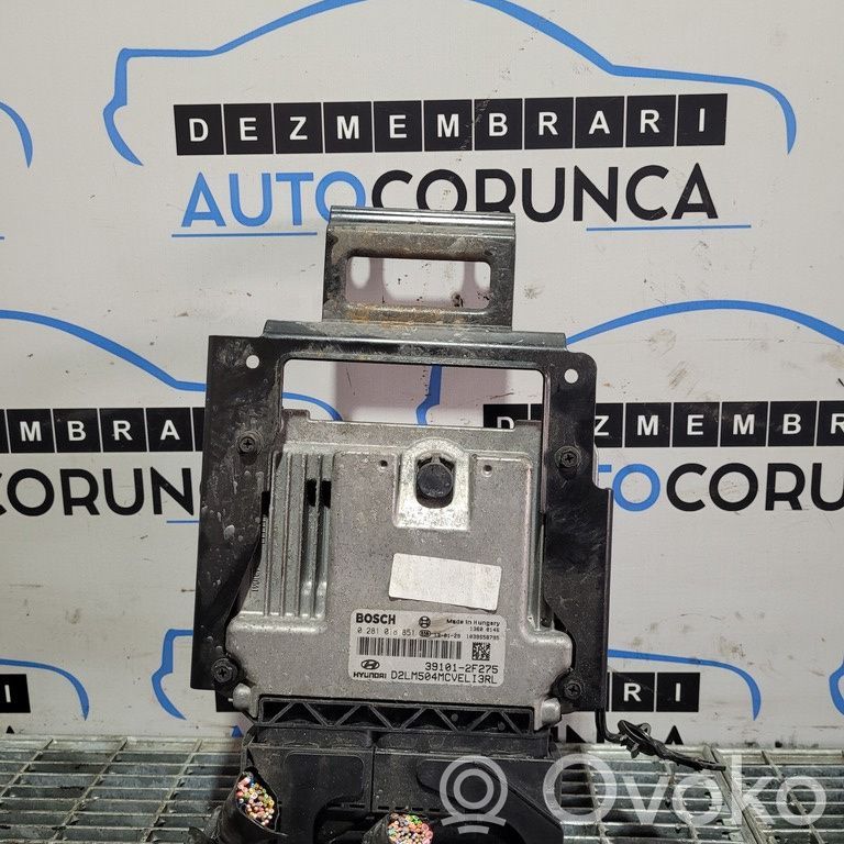 Engine control unit/module ECU   391012F275