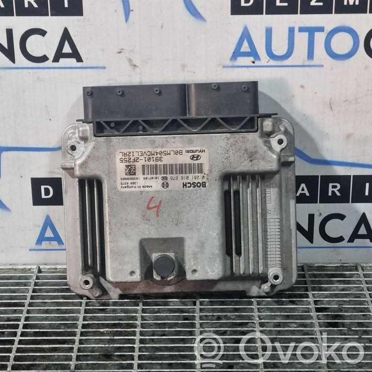 Engine control unit/module ECU   0281016676,391012F255