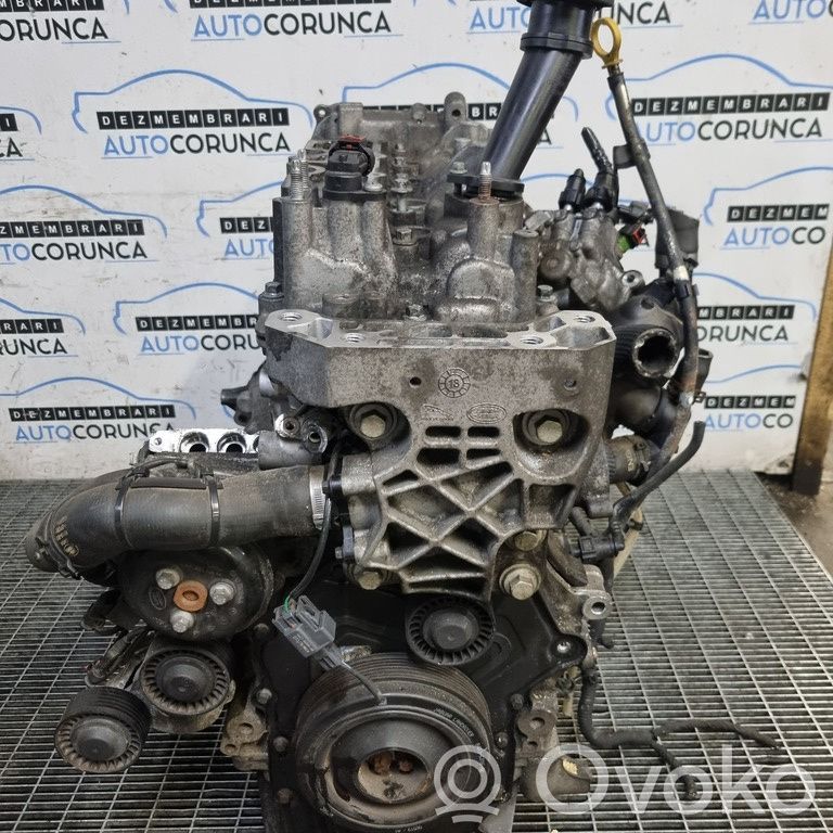 Engine   PBG4D36015EH,CUPOMPADEINALTE