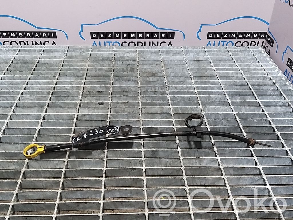Oil level dip stick
