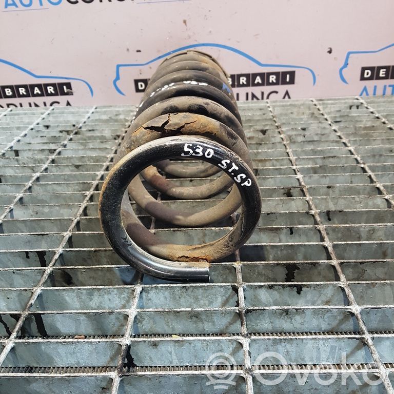 Rear coil spring   STANGASPATE