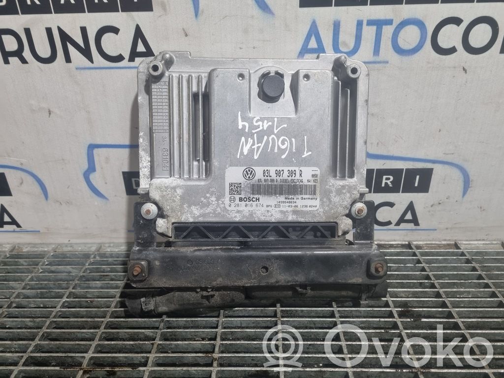 Engine control unit/module ECU   0281016674
