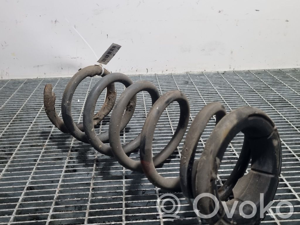Rear coil spring