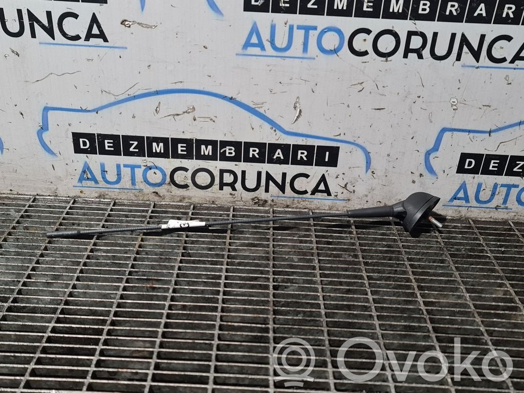 Radion antenni   NUARECOD