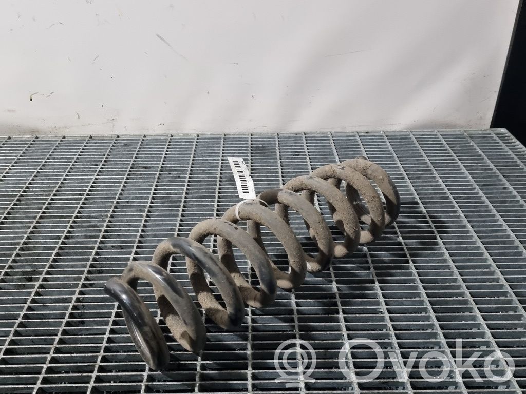 Rear coil spring