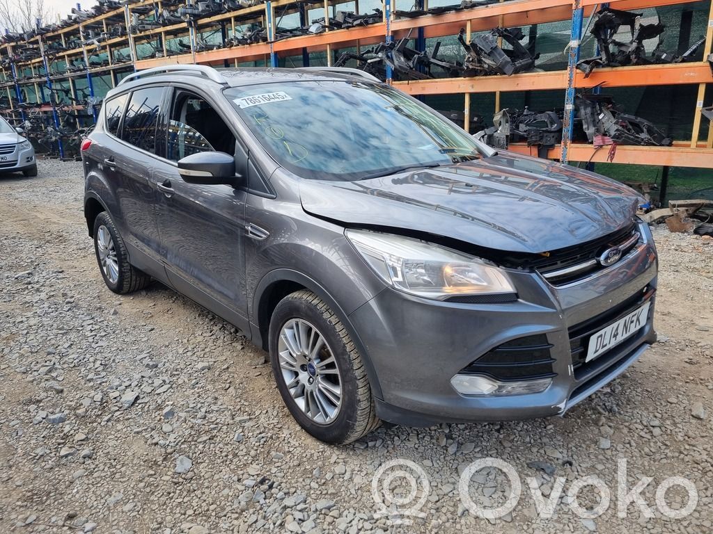 Ford Kuga II Rear door lock 