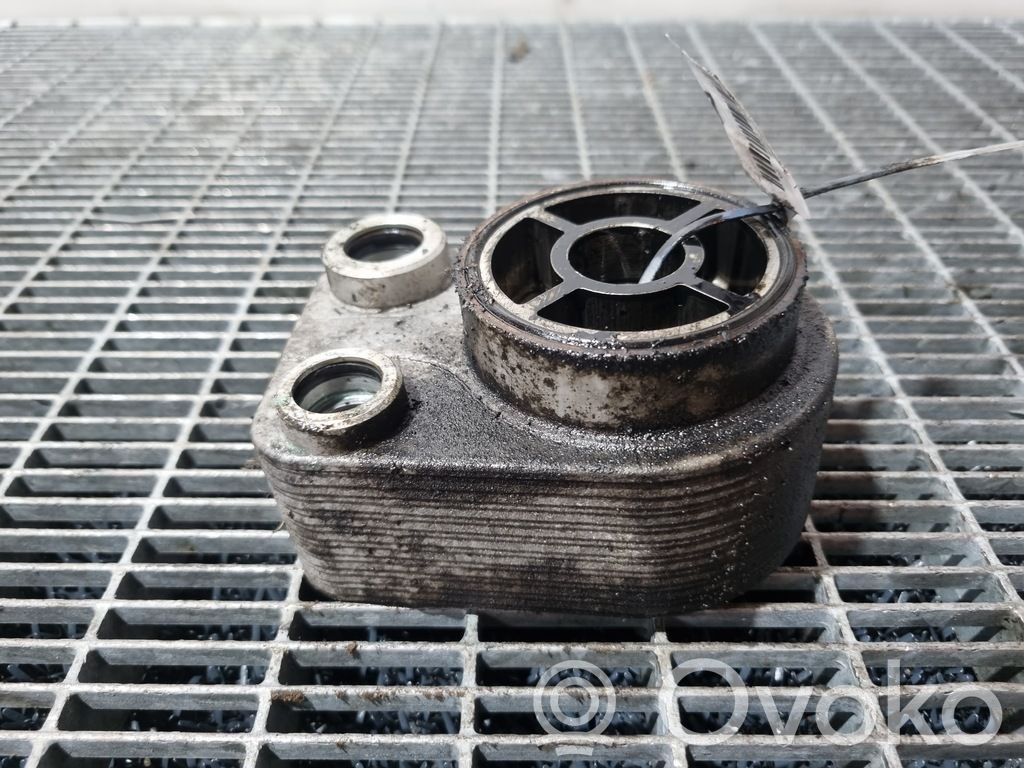 Nissan Juke I F15 Engine oil radiator 