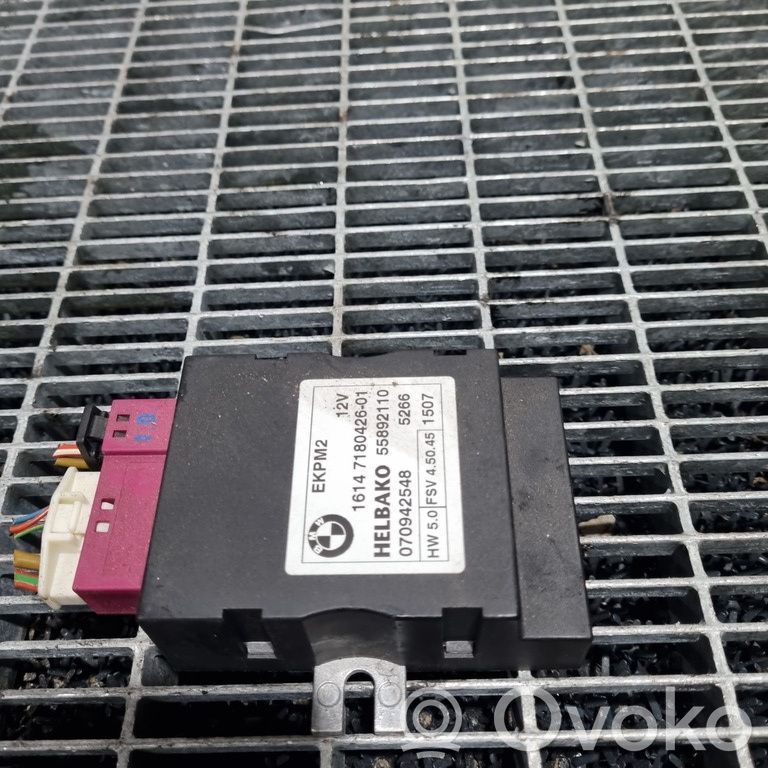 BMW X5 E70 Alte unități/module de control 