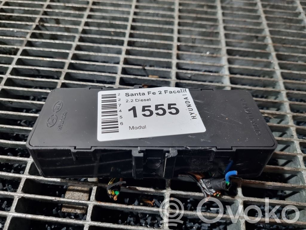 Hyundai Santa Fe Alte unități/module de control 