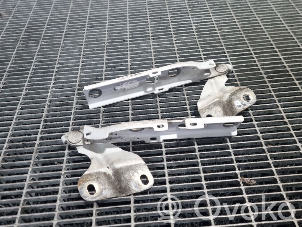 Audi Q3 8U Balamale capotă 