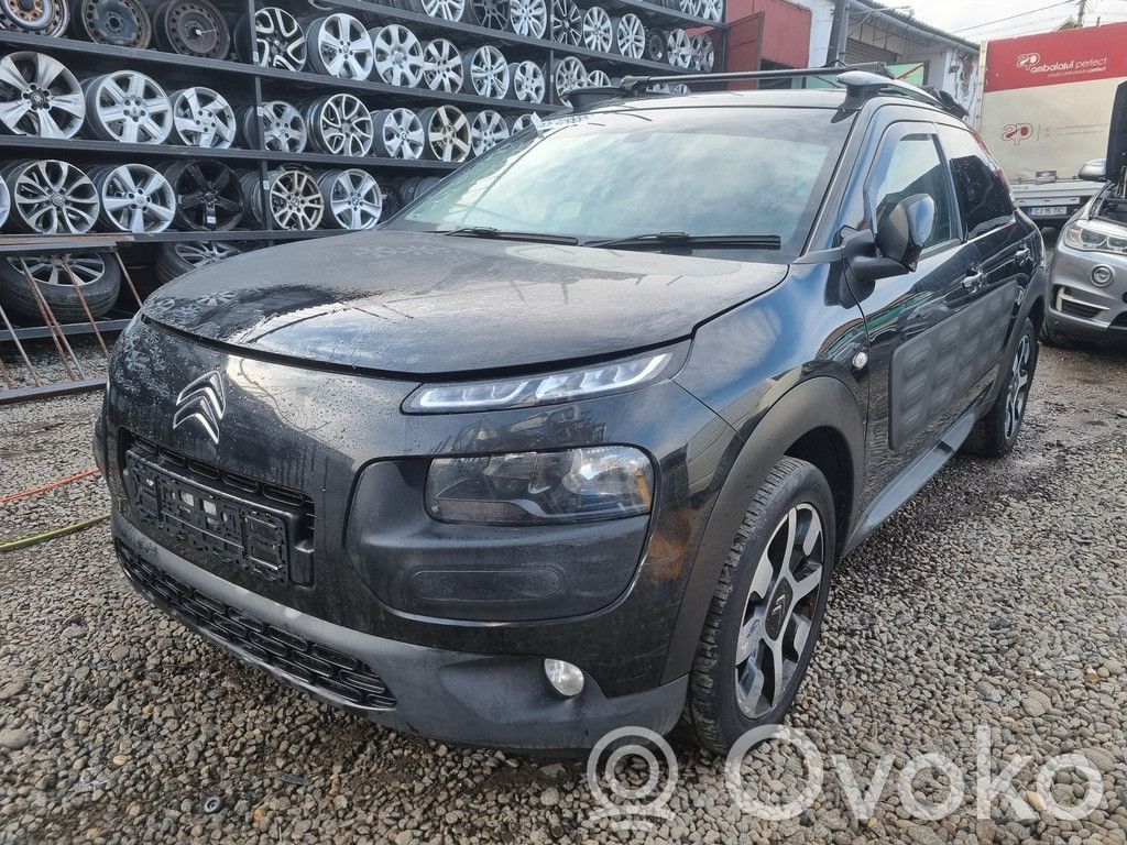 Citroen C4 Cactus Geam ușă spate 