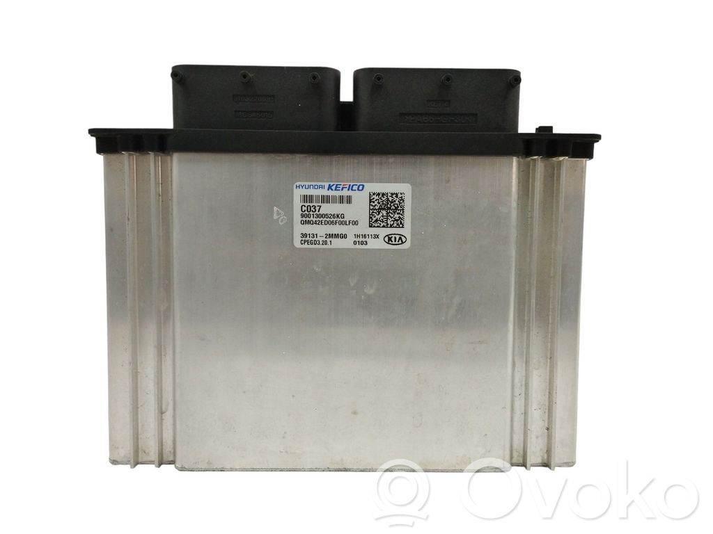Engine control unit/module   391312MMG0