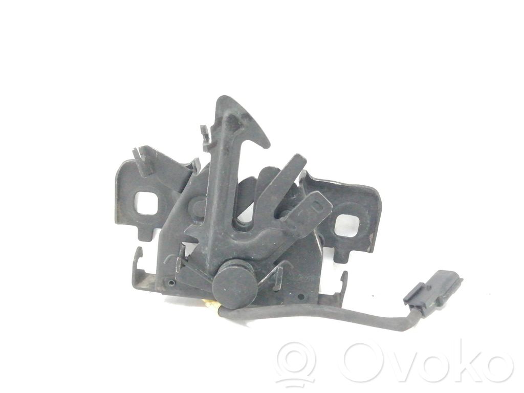 Tie down hook / loop   656011705R