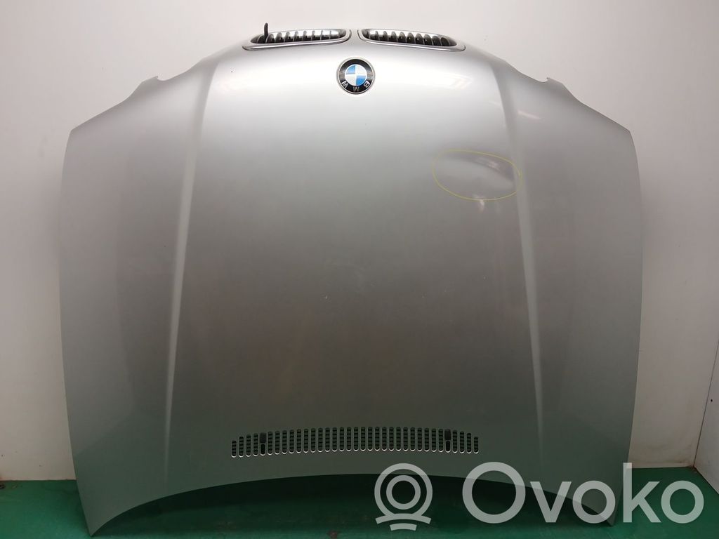 Capó/tapa del motor   41617016417