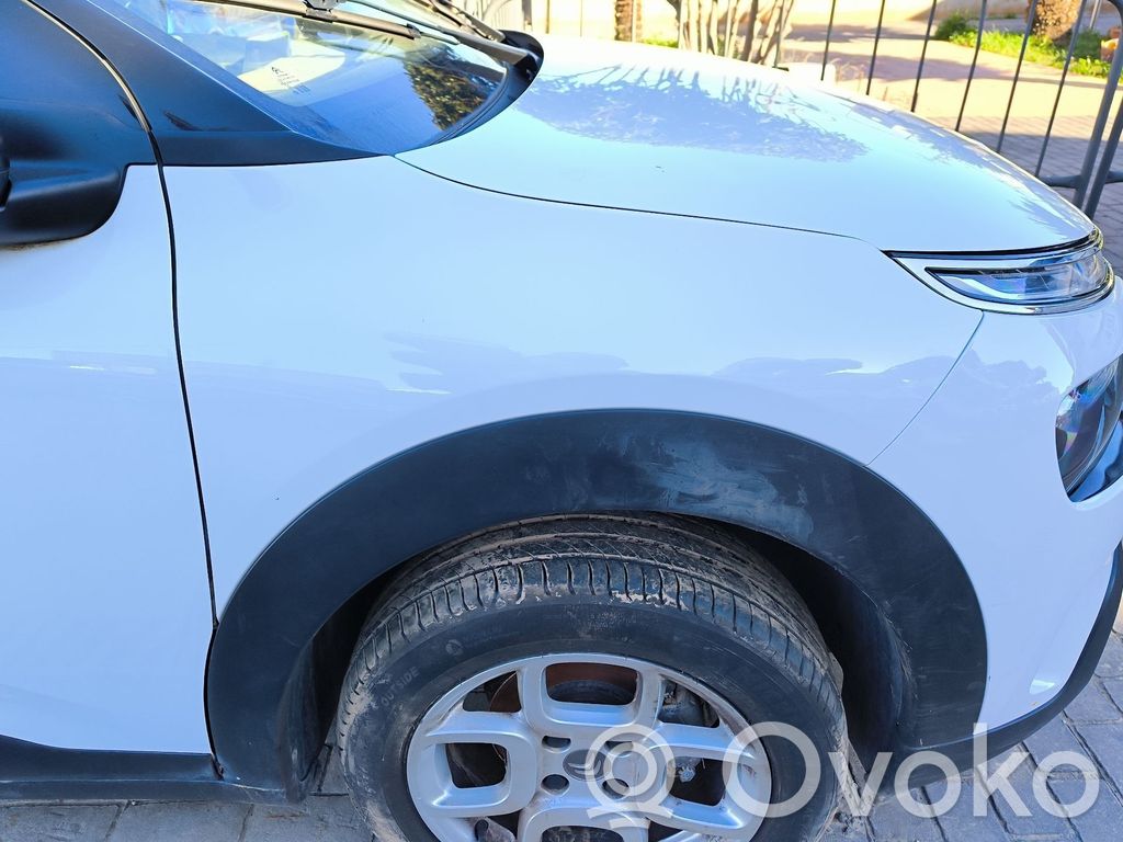 Citroen C4 SpaceTourer Spārns 