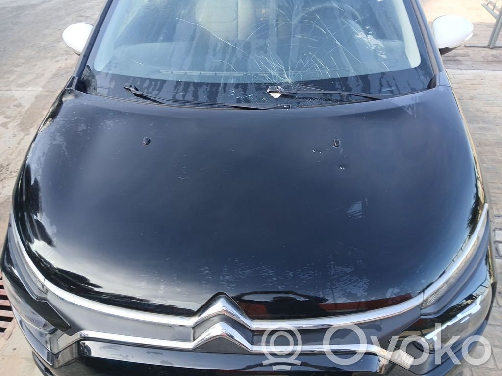 Vano motore/cofano   9812723280