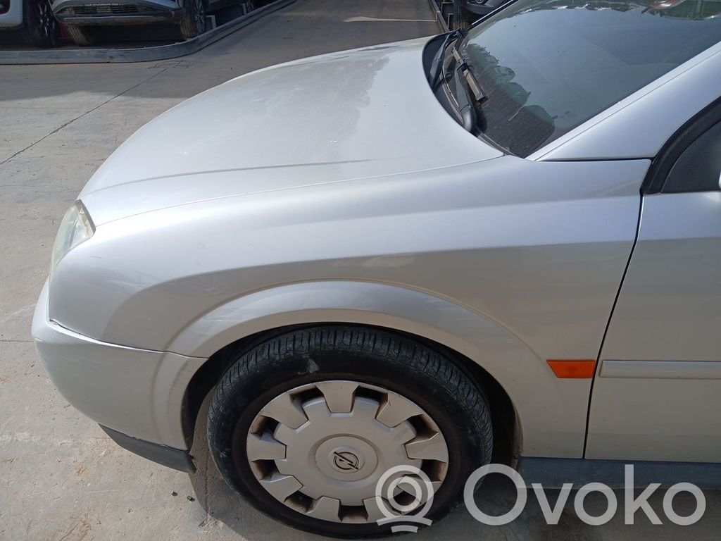 Guardabarro   6101327