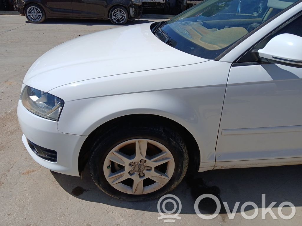 Guardabarro   8P0821105G