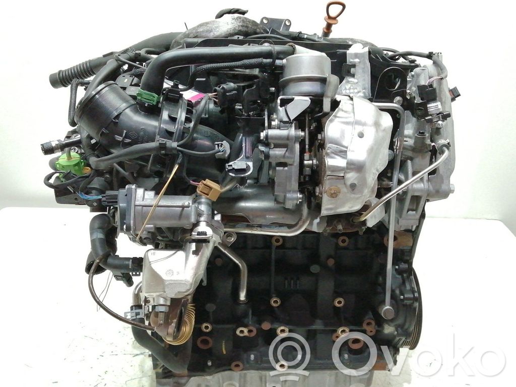 Motor   R9M502,622951