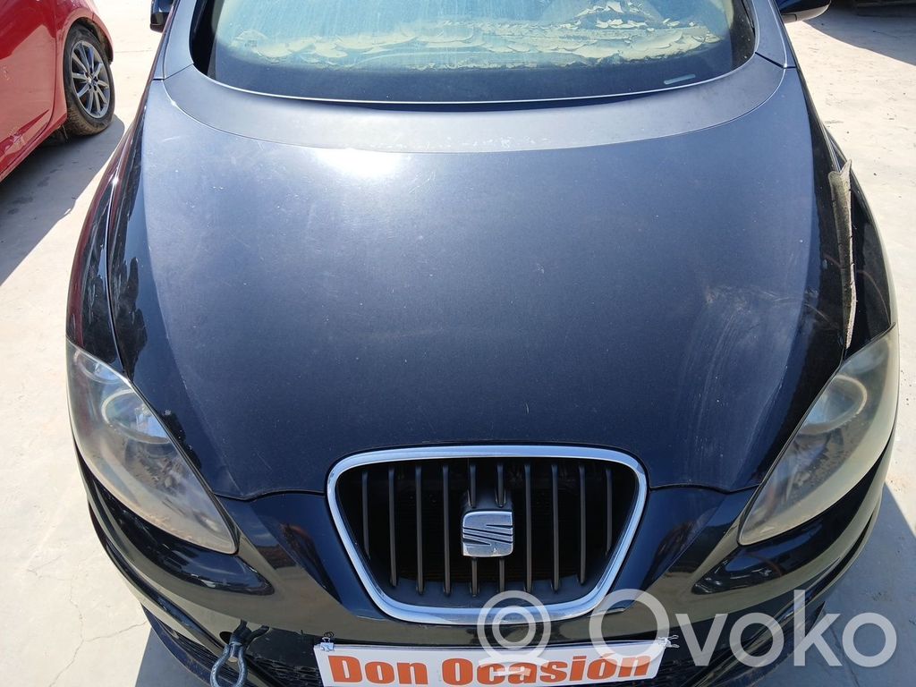 Vano motore/cofano   5P0823031B