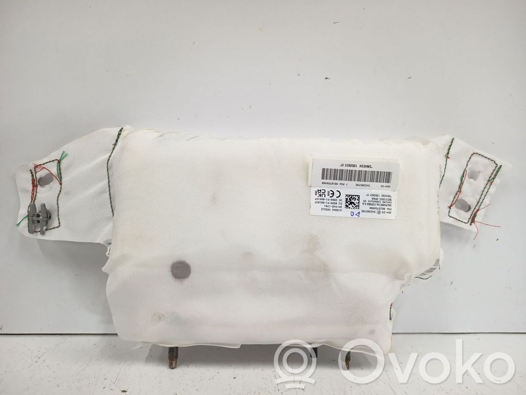Peugeot Rifter Airbag laterale