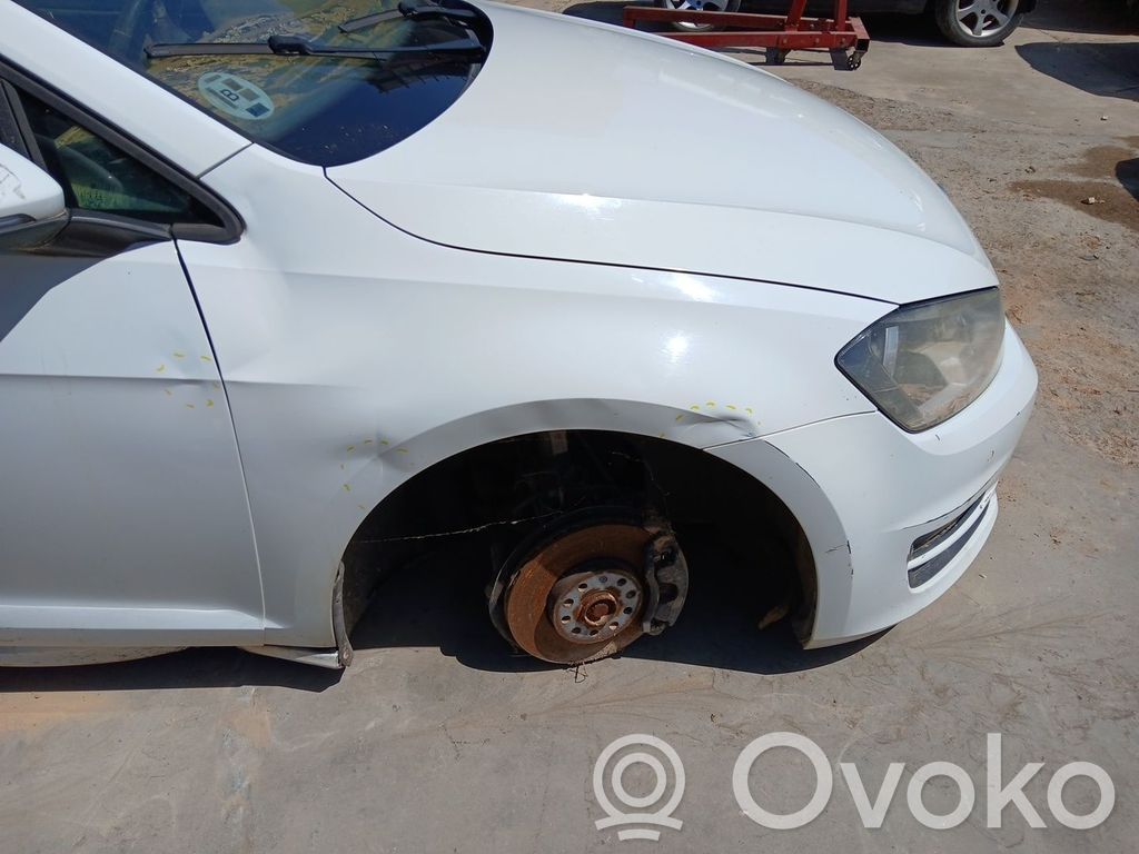 Volkswagen Golf SportWagen Aripă 