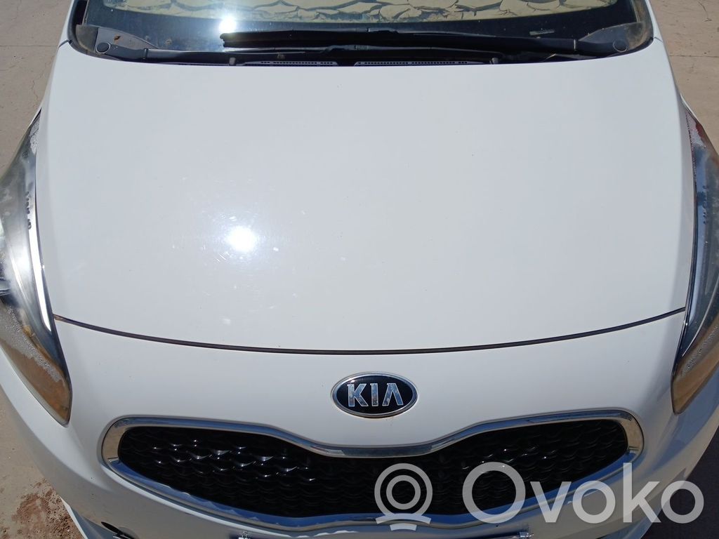 Vano motore/cofano   66400A4000